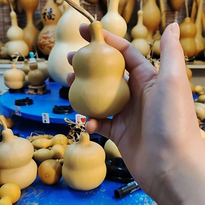 外***号他他他他他他他他他他