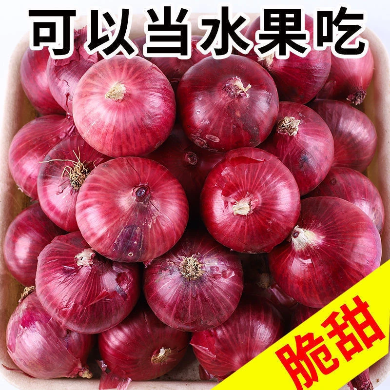 水果洋葱可以生吃的紫皮洋葱特价买五斤送五斤只发精品脆甜不辣