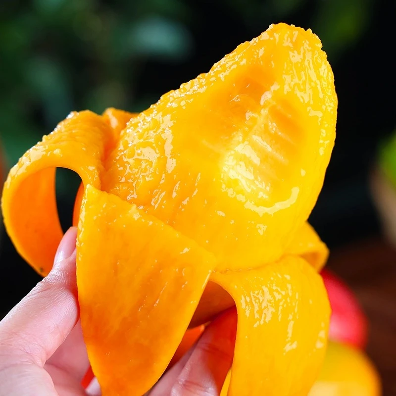 Y1海南贵妃芒果香甜当季新鲜【放熟再吃】红金龙新鲜芒果包邮助农