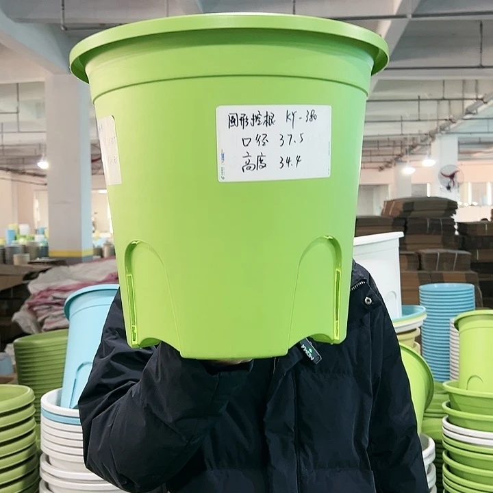 正品圆控口37.5高34果绿无托3只