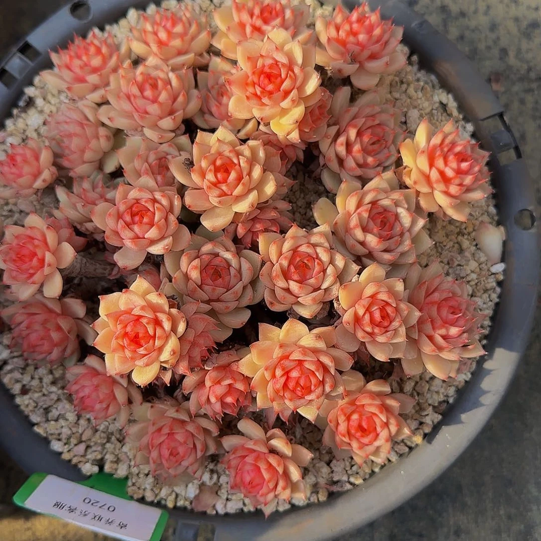 宝***昱啊啊呃呃呃呃呃呃呃呃呃呃呃呃呃呃呃呃啊