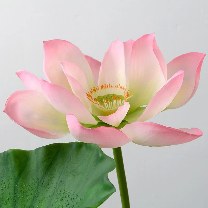 高仿真荷花假莲花荷叶高档水池布置表演布景装饰景观汉服拍照道具