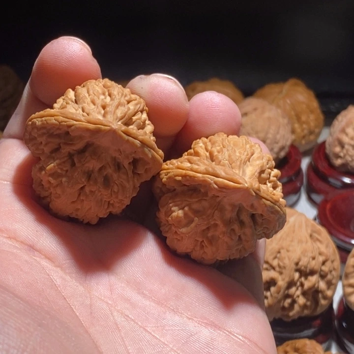 汪***号文玩核桃把件36蚂蚁