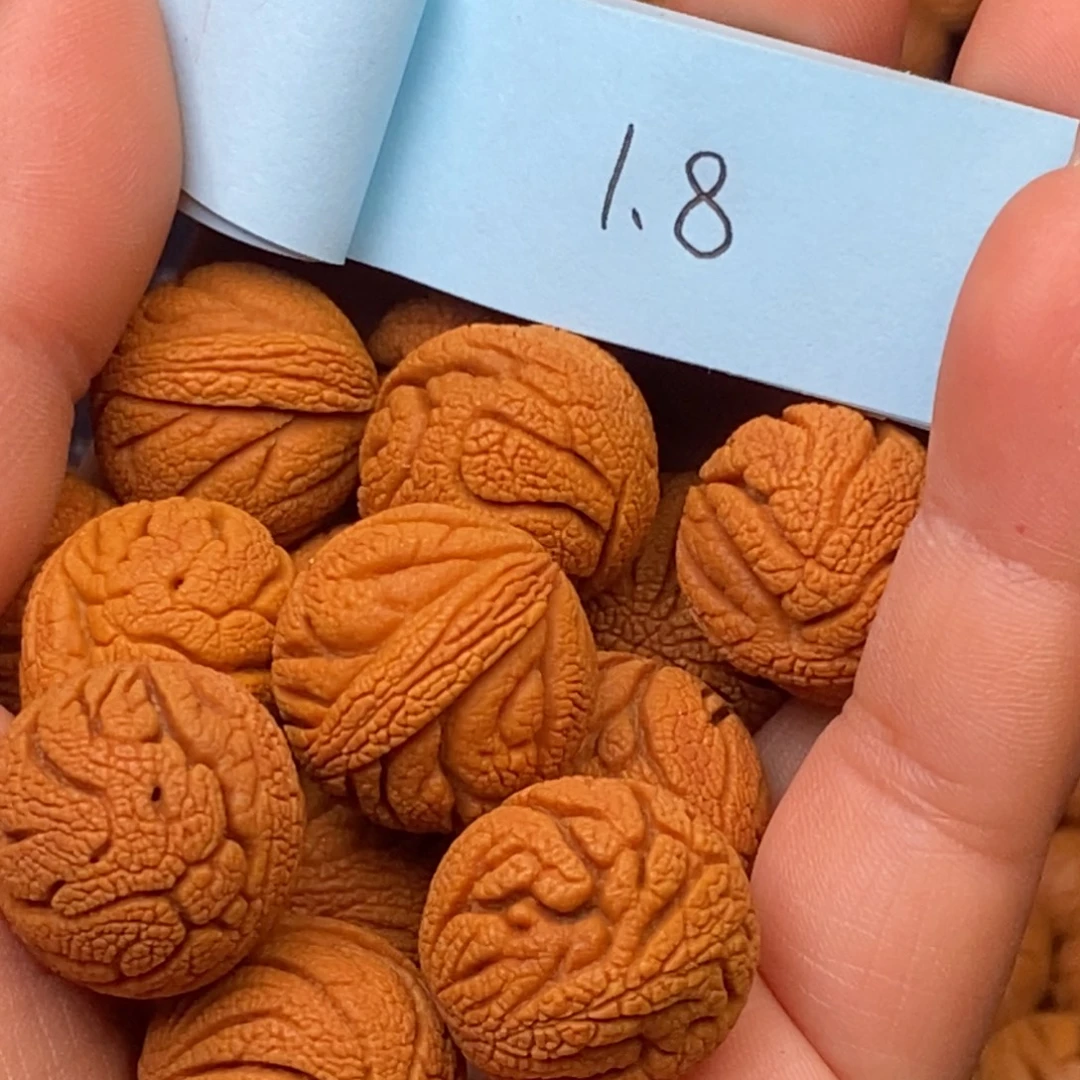 秦岭龙纹桃核14颗