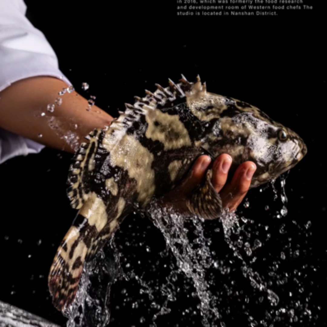 当日断氧石斑 1条