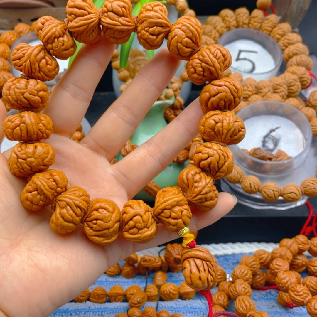 霸王龙无修24尺。红红火火