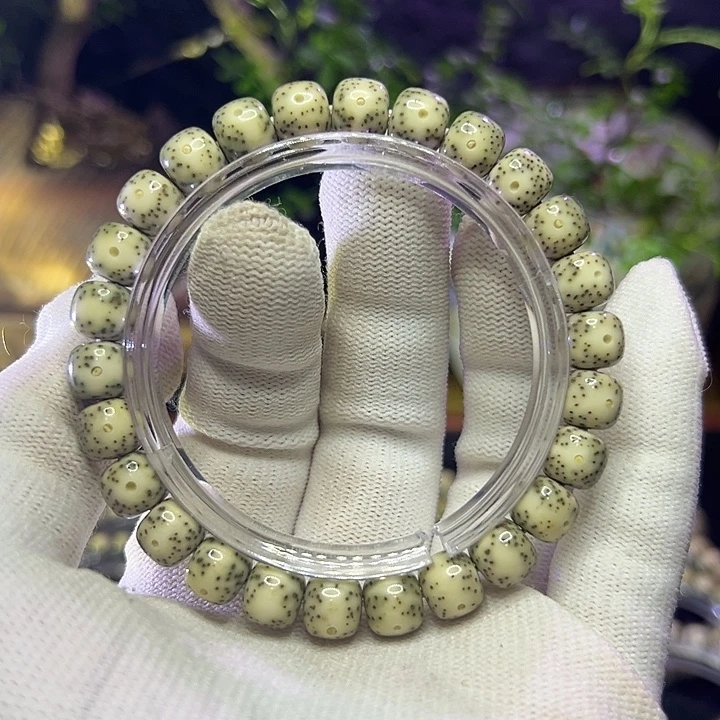 星月菩提手串海南原生态