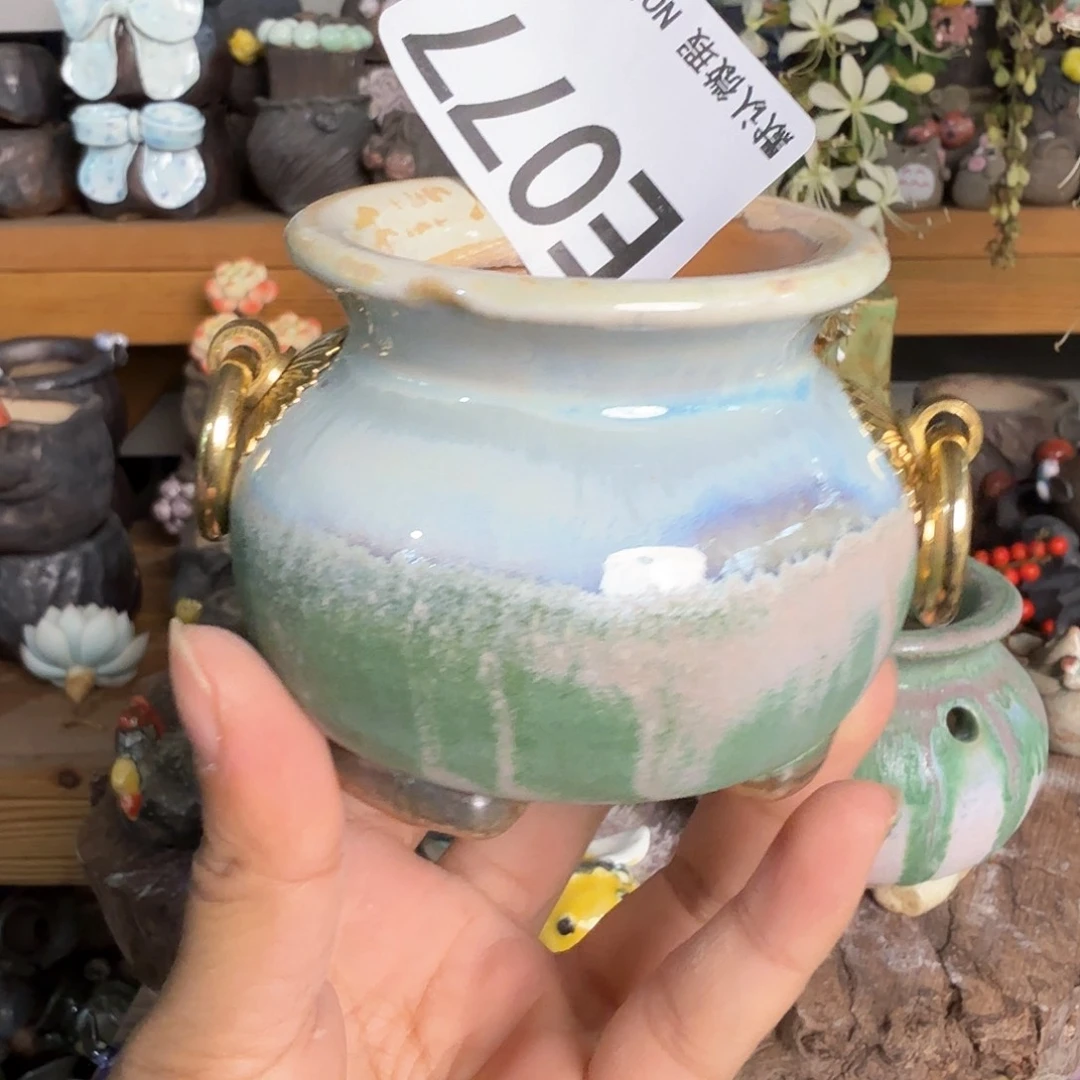重庆小燕子欢迎大家077