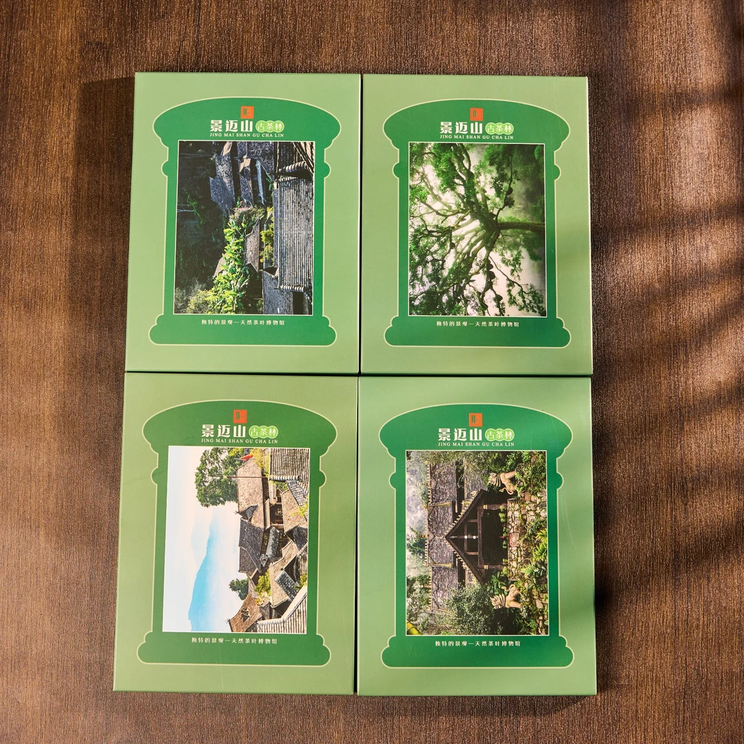 【小梁】王霞-邮政联名(景迈山古茶林系列)60g/饼