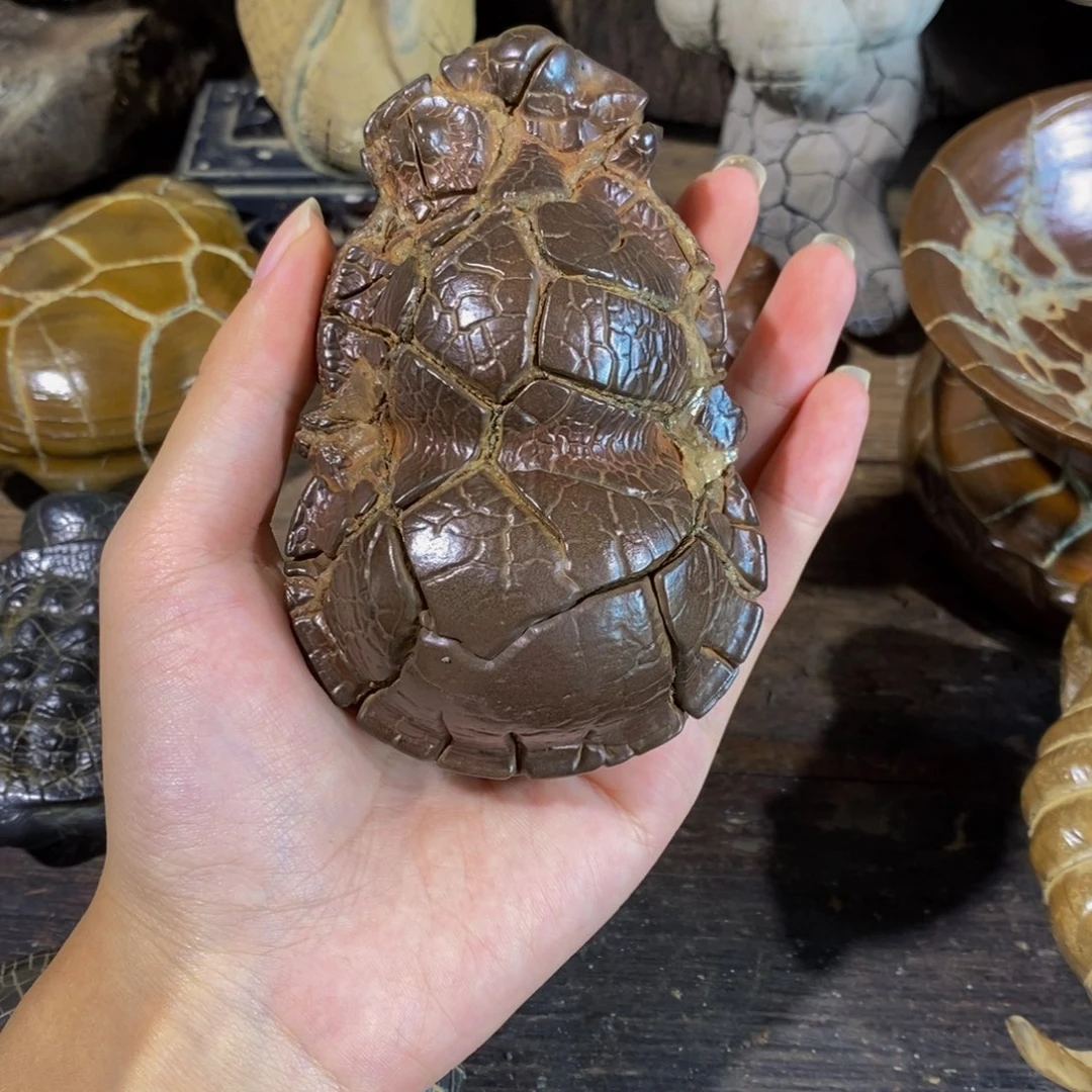 石材湖南郴州天然龟纹石