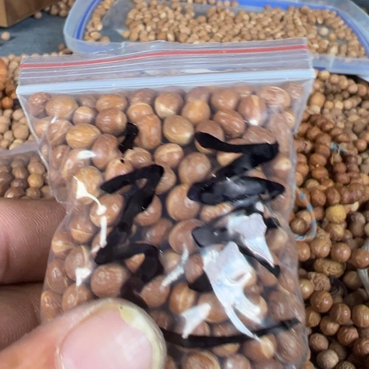 伐***累凤眼菩提吊坠文玩酸枣核