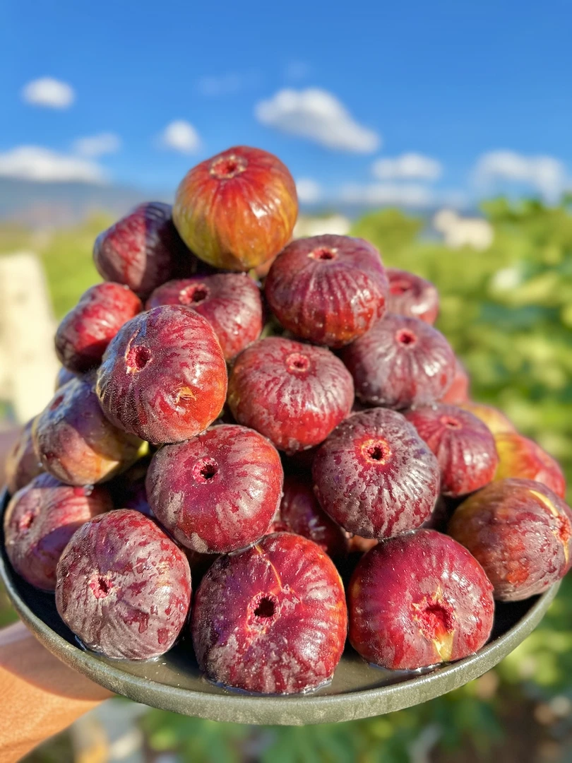 【顺丰冷链】云南露天种植新鲜波姬红无花果软糯清甜现摘现水果