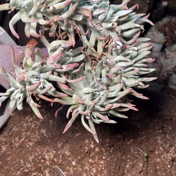 1693哈哈哈哈哈哈哈哈