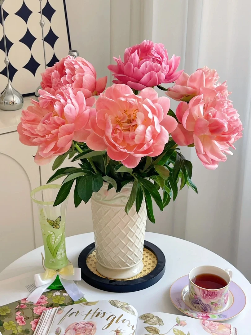 【源头优选】芍药-夏威夷珊瑚-鲜花包邮 发货后不支持退款