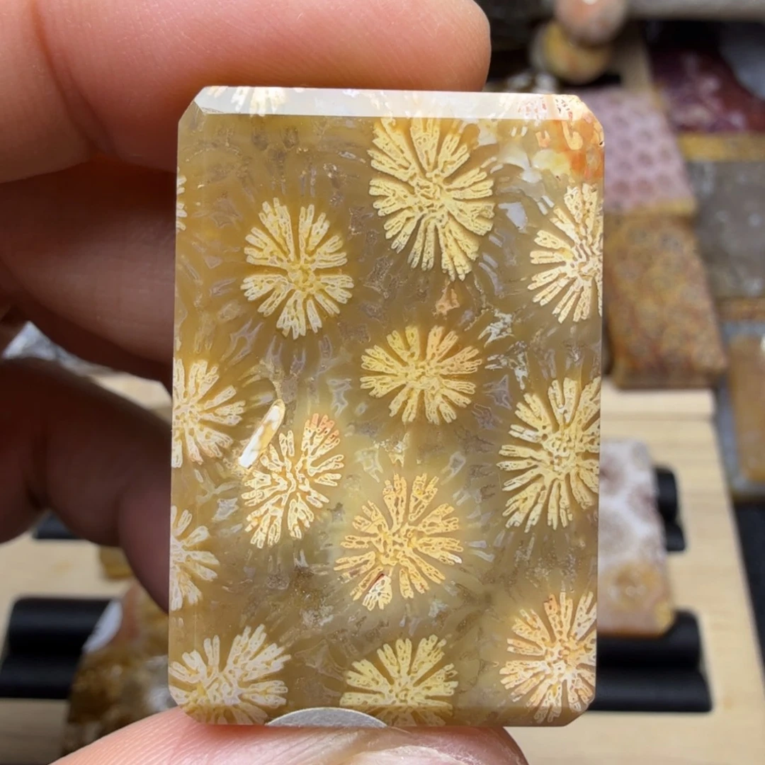 硅化玉未镶嵌纯天然色有机玉石保真色
