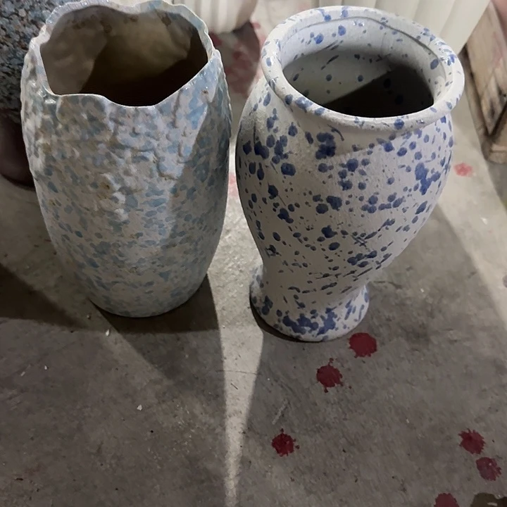 小梅花➕蓝点18厘米左右