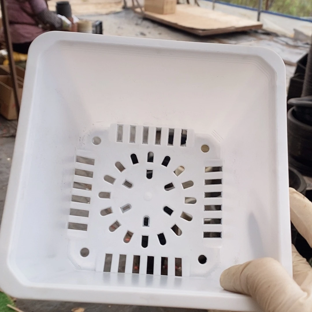 塑料新16公分白方盆15个