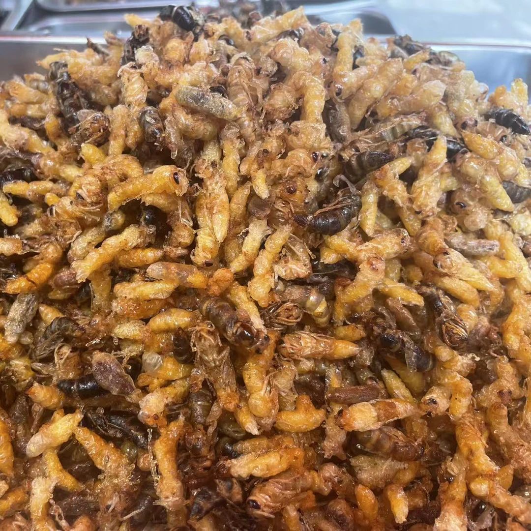 一斤柴火油炸新鲜蜂蛹