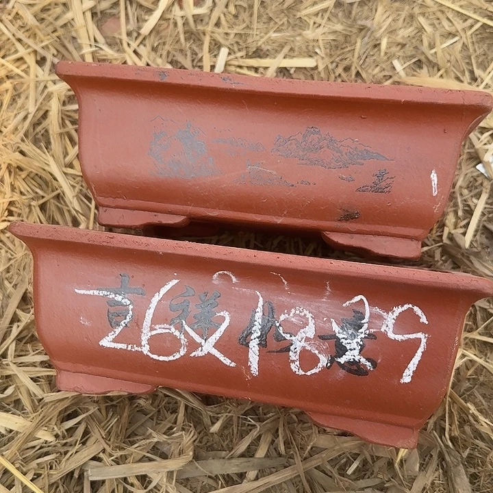 紫砂杯及茶杯中用清水将之融