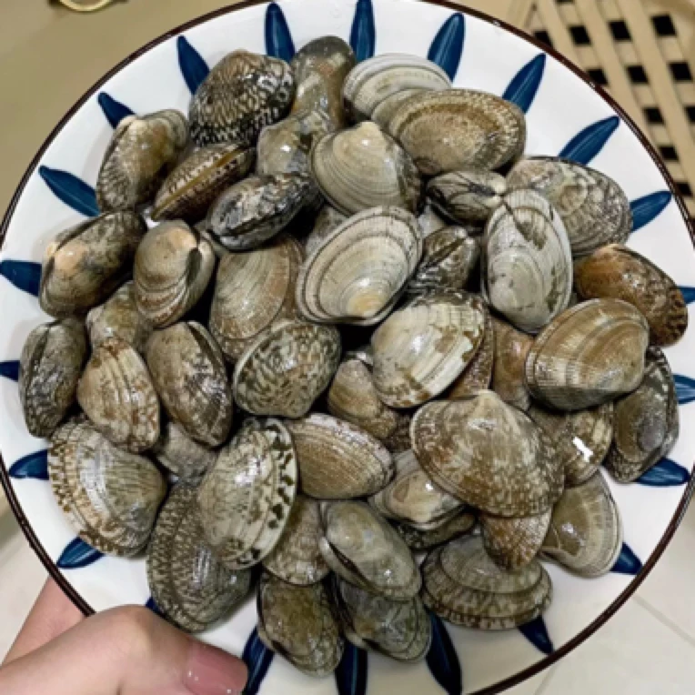 海甲 沙甲（需焯水再炒）