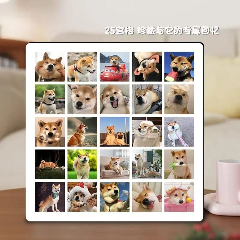 宠物相册定金链接（下单请联系客服）