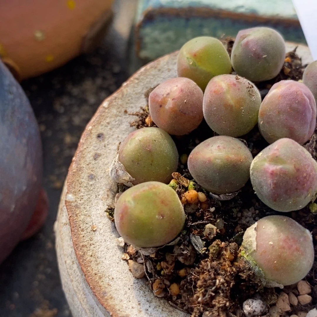 1569一组一组一组