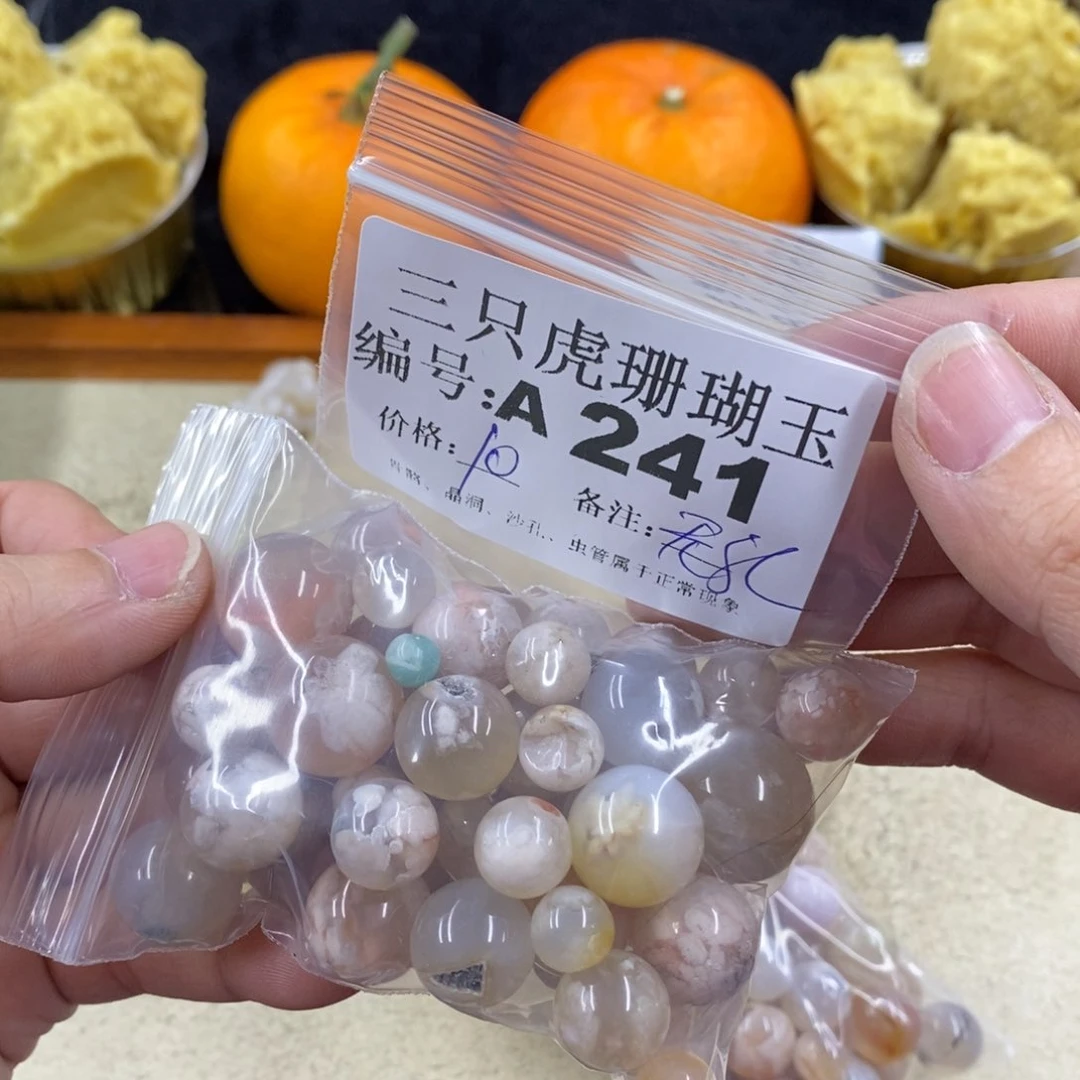 硅化珊瑚（珊瑚玉）1未镶嵌元*