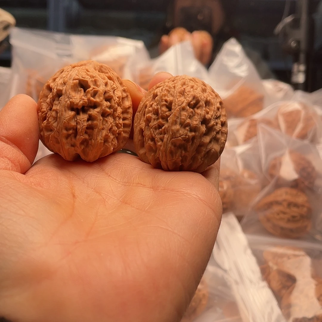 白狮子25.8名员工在