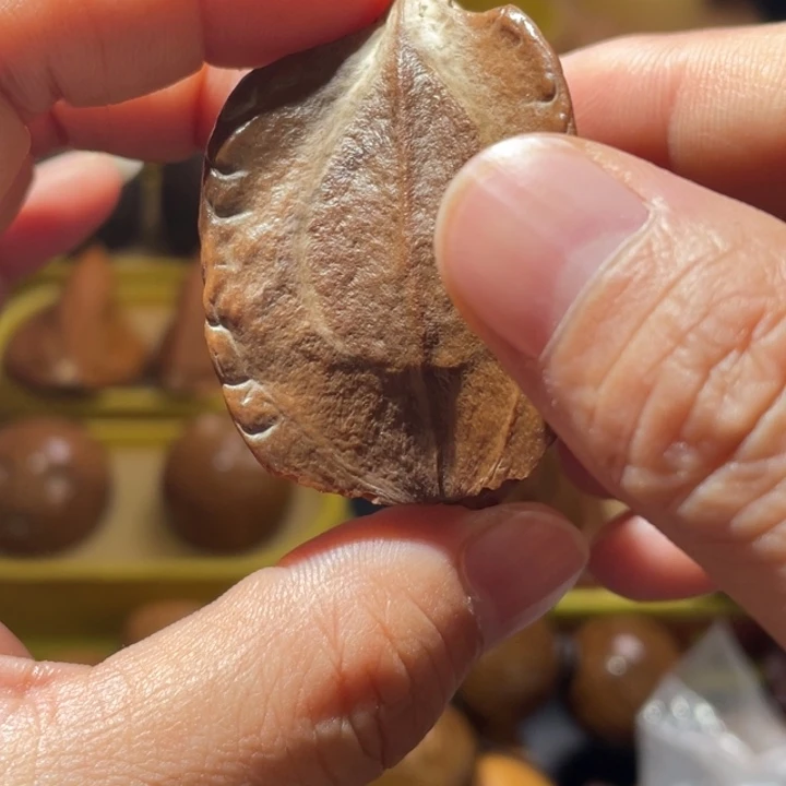 桃核吊坠甲骨文橄榄核单只