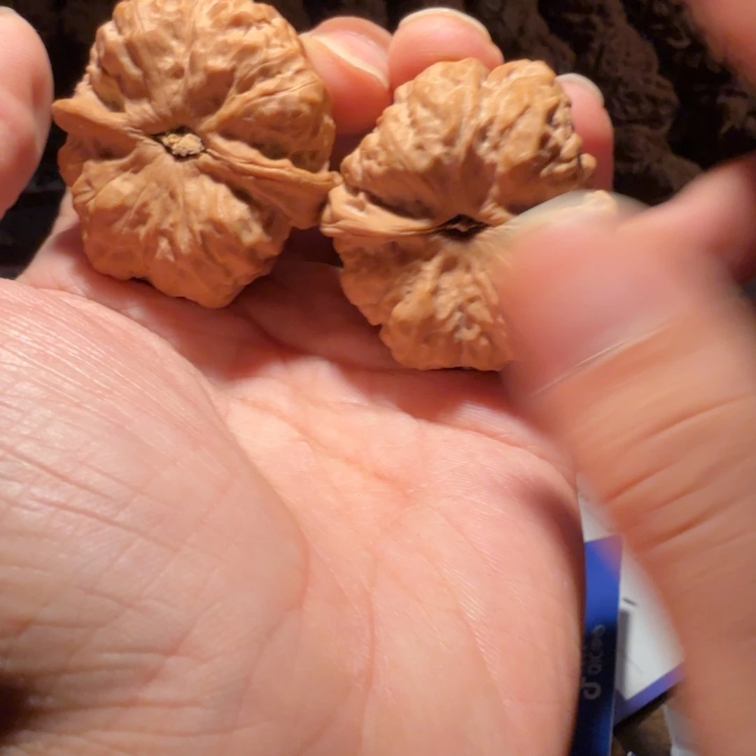 小***丶吊坠文玩核桃蛤蟆的眼睛是真的好看