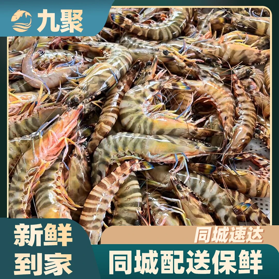 斑节虾  1kg 保鲜不包活