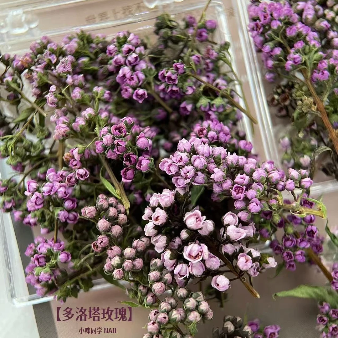 小咪同学美甲立体干花多洛塔玫瑰手工手帐Diy
