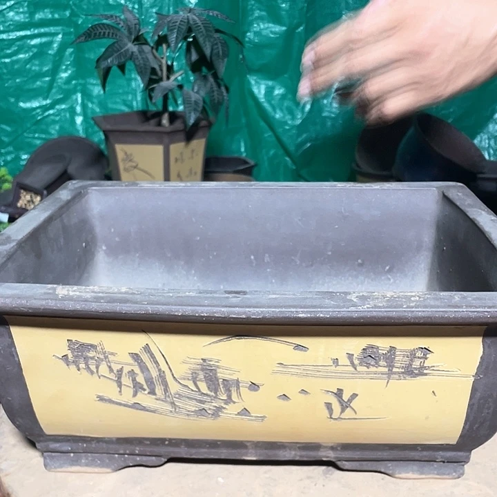 40黄色马槽花盆花盆