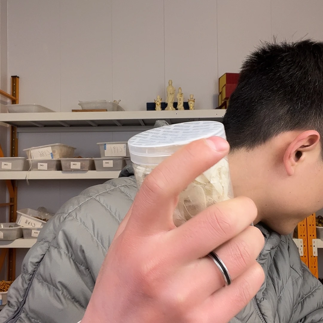 缅甸花梨（花梨木类）9999