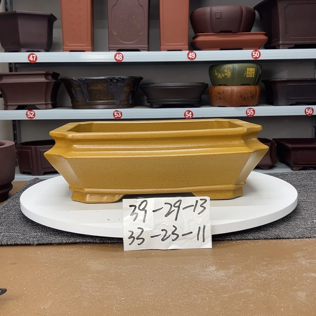 紫砂花盆你好点了