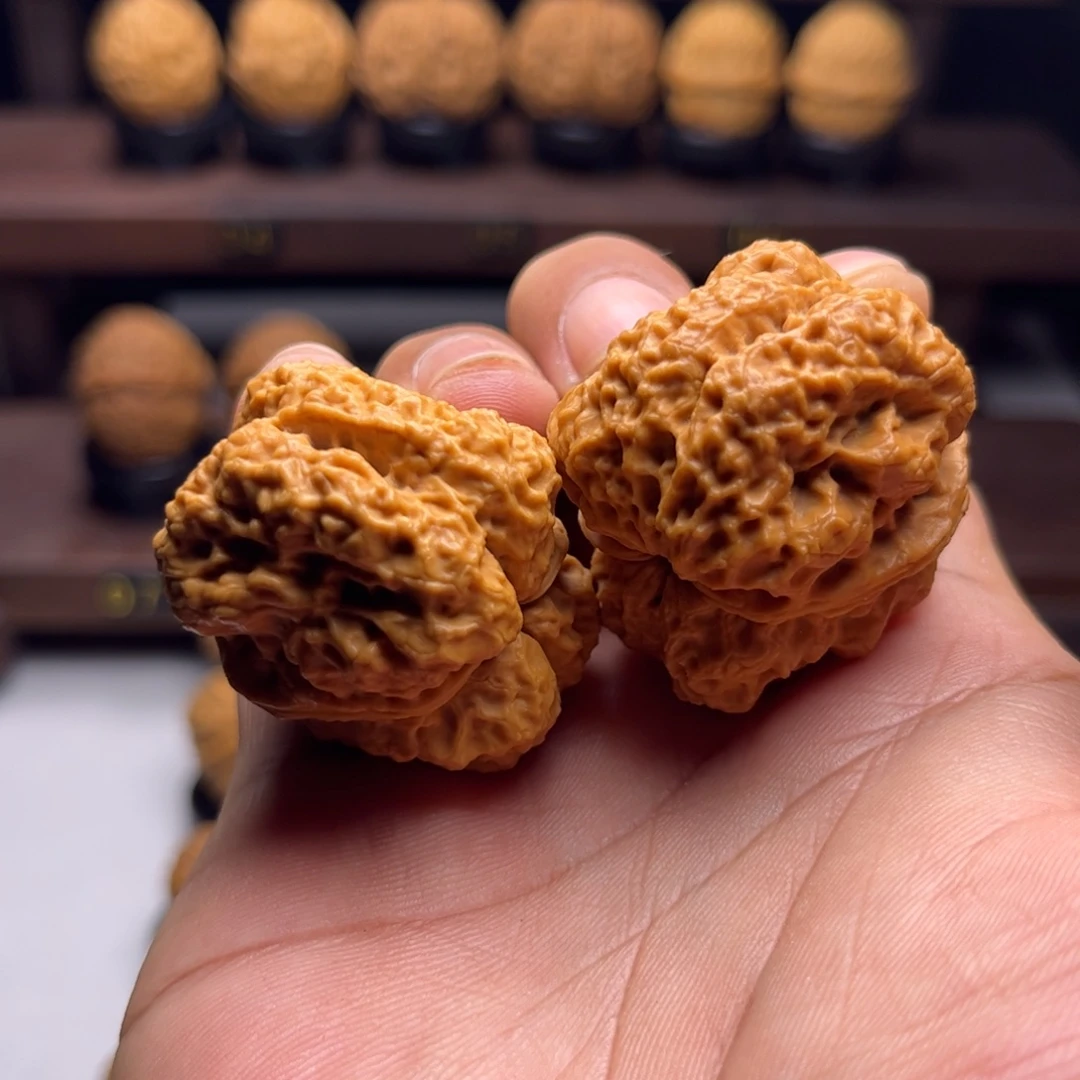 把件文玩核桃霸王龙脊