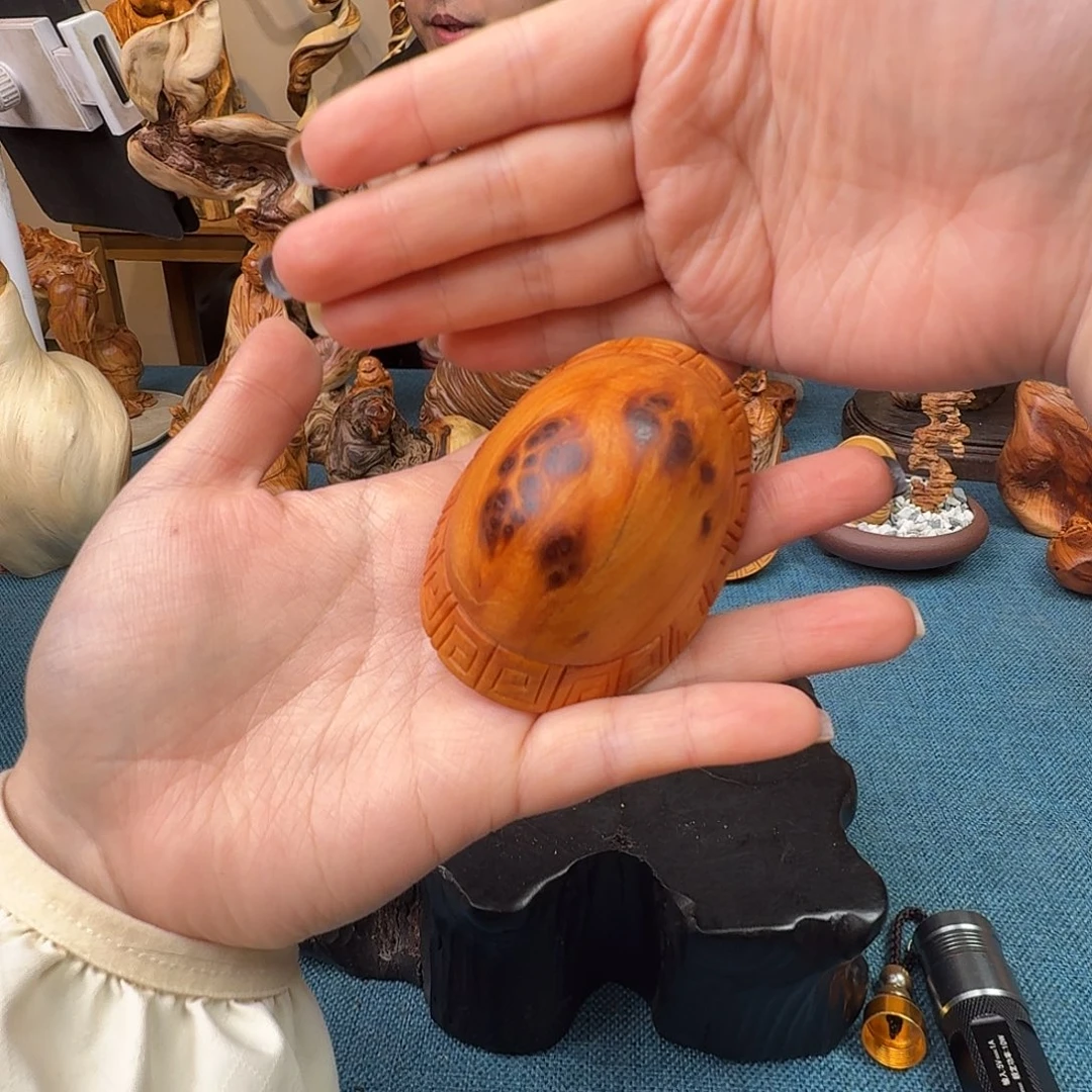 柏木（崖柏）关注一下