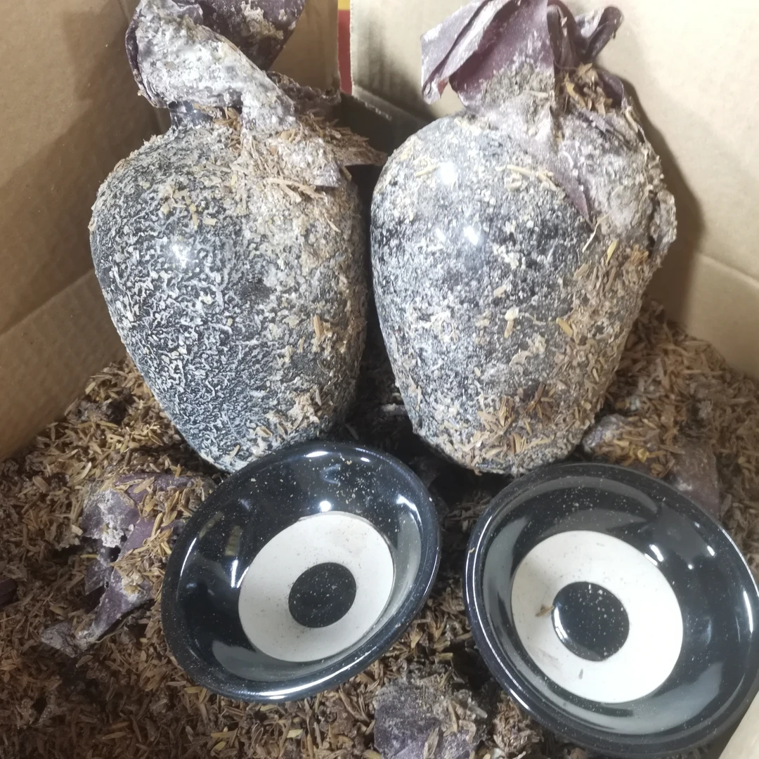 香得盛52度500mL窖藏老酒52度500