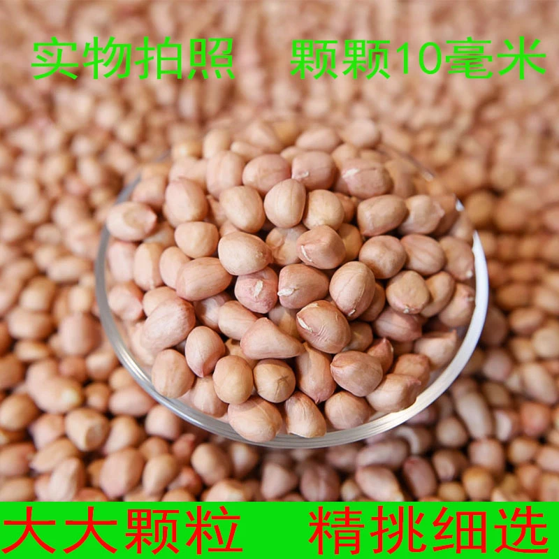 10斤装手工剥壳南阳大白沙大大颗粒花生米产地直发新鲜蔬菜