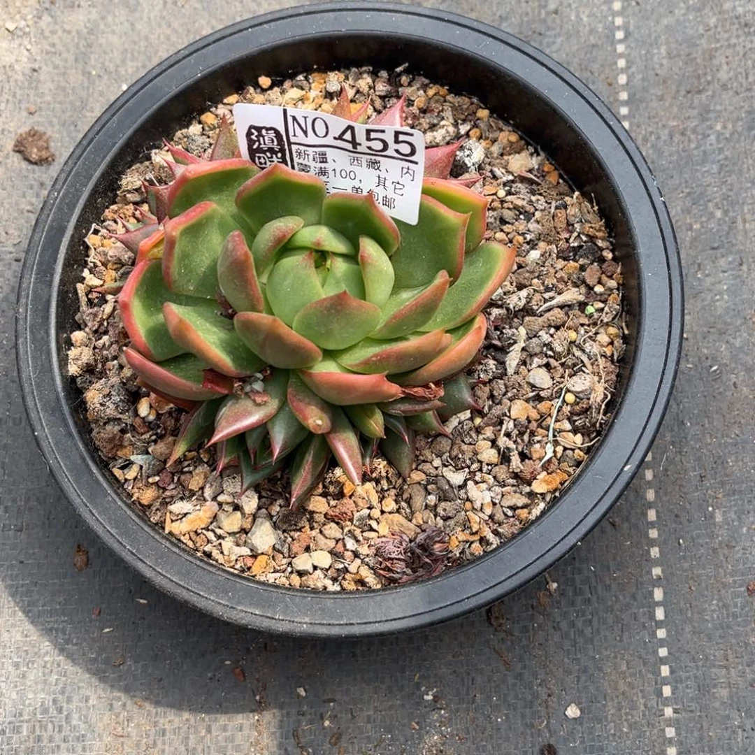 时****455…………………………………………1