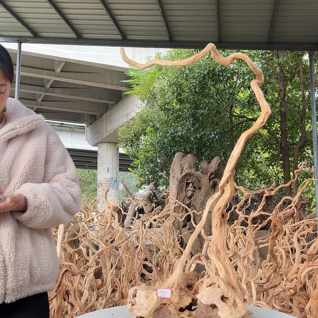 圈***圈木148积极积极积极积极积极了