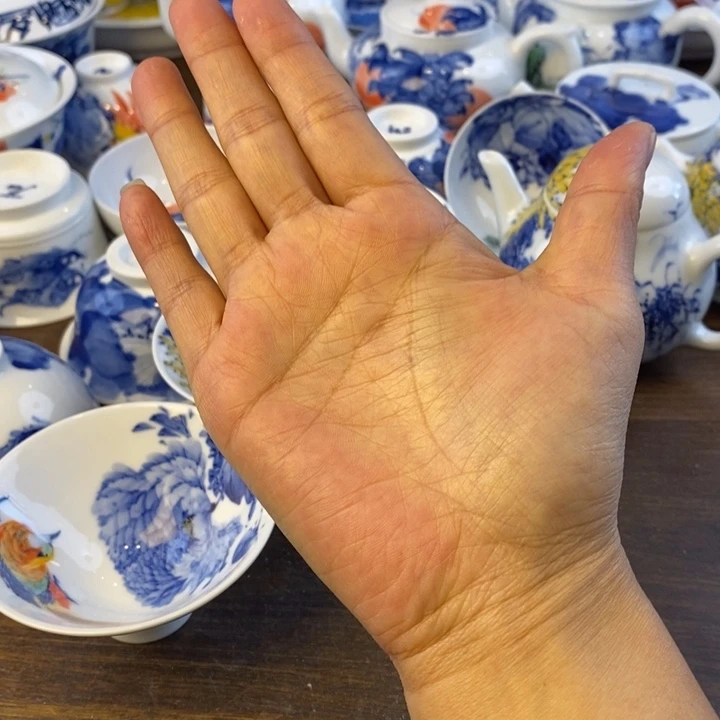 梅***醺瓷片景德镇陶瓷大学