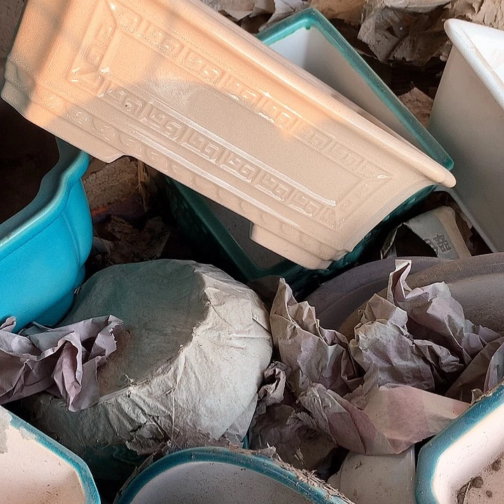 紫砂哈哈真的超级可爱哈哈哈