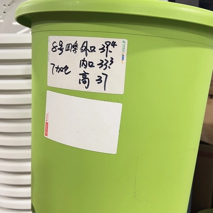 特价8号口39.4高37果绿无托5支