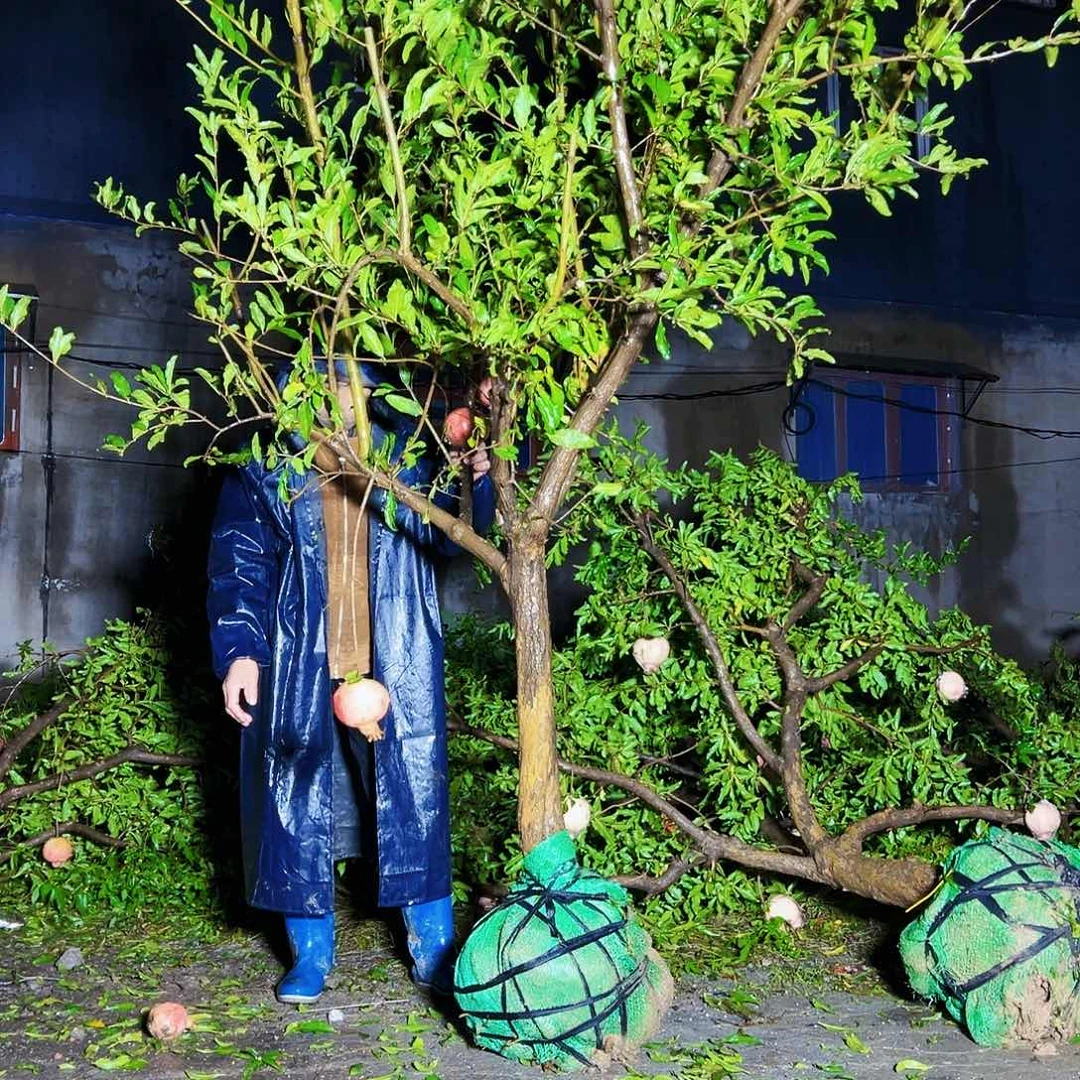 无花朵健健康康快快乐乐