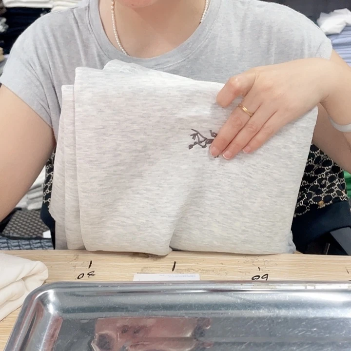 鸟家灰色空气层定位一个