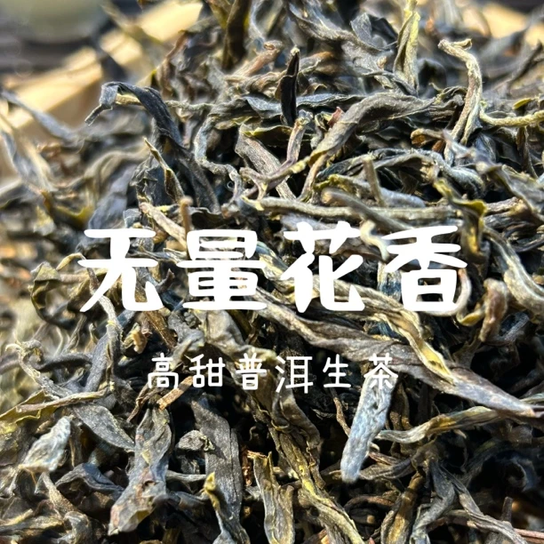 国庆中秋特惠·2025·超性价比高货·无量花香·高甜普洱生茶··