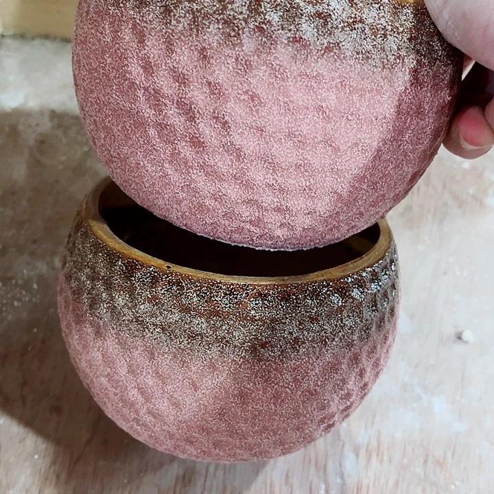 多肉植物陶瓷花盆