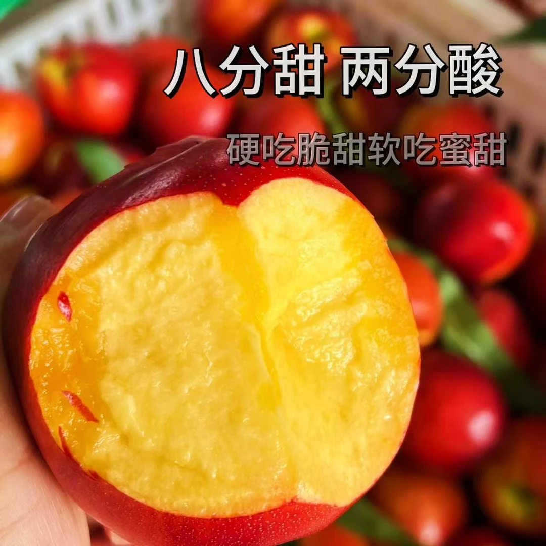 【蒙阴头茬】麻点红油桃，脆甜桃香味十足