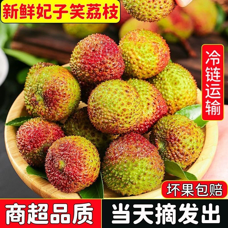 【京东顺丰川渝今天拍明天到】海南空运树熟妃子笑荔枝新鲜现摘当季水果1/3/5斤荔枝同城送海南省海南省